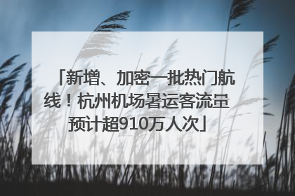 新增、加密一批热门航线！杭州机场暑运客流量预计超910万人次