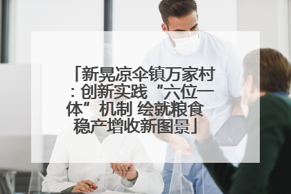新晃凉伞镇万家村：创新实践“六位一体”机制 绘就粮食稳产增收新图景