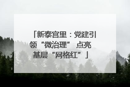 新泰宫里：党建引领“微治理” 点亮基层“网格红”