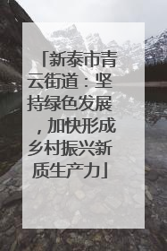 新泰市青云街道：坚持绿色发展，加快形成乡村振兴新质生产力