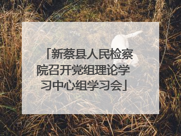 新蔡县人民检察院召开党组理论学习中心组学习会