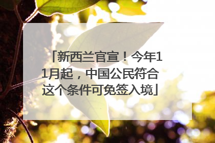 新西兰官宣！今年11月起，中国公民符合这个条件可免签入境