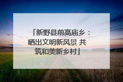 新野县前高庙乡：晒出文明新风景 共筑和美新乡村