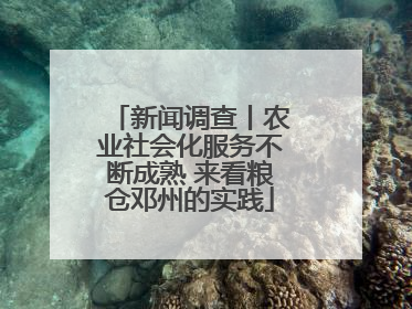 新闻调查丨农业社会化服务不断成熟 来看粮仓邓州的实践