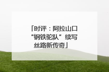 时评：阿拉山口“钢铁驼队”续写丝路新传奇