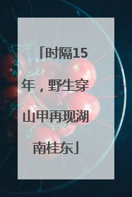 时隔15年，野生穿山甲再现湖南桂东
