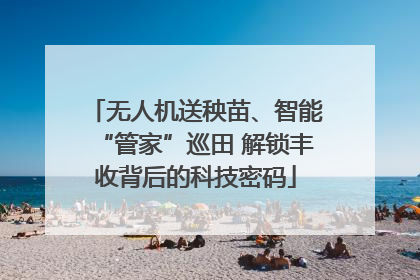 无人机送秧苗、智能“管家”巡田 解锁丰收背后的科技密码
