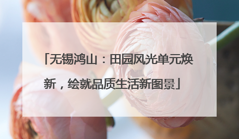 无锡鸿山：田园风光单元焕新，绘就品质生活新图景