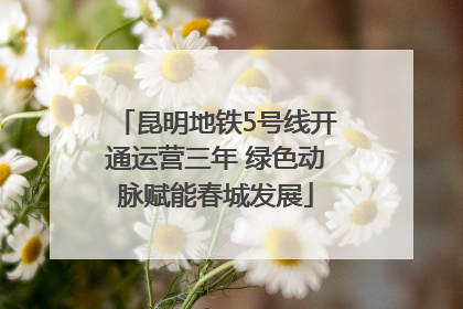 昆明地铁5号线开通运营三年 绿色动脉赋能春城发展