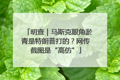 明查｜马斯克眼角淤青是特朗普打的？网传截图是“高仿”