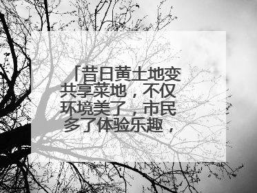 昔日黄土地变共享菜地，不仅环境美了，市民多了体验乐趣，村民还能增收