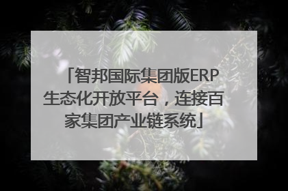 智邦国际集团版ERP生态化开放平台，连接百家集团产业链系统