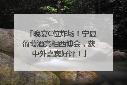 晚宴C位炸场！宁夏葡萄酒亮相西博会，获中外嘉宾好评！