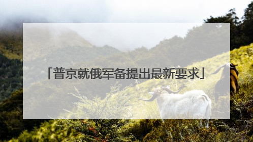 普京就俄军备提出最新要求
