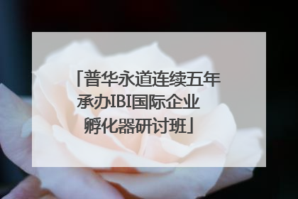 普华永道连续五年承办IBI国际企业孵化器研讨班