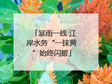 暴雨一线 江岸水务“一抹黄”始终闪耀