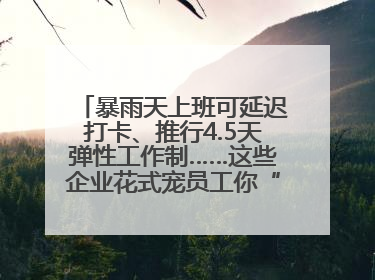 暴雨天上班可延迟打卡、推行4.5天弹性工作制……这些企业花式宠员工你“慕”了吗？