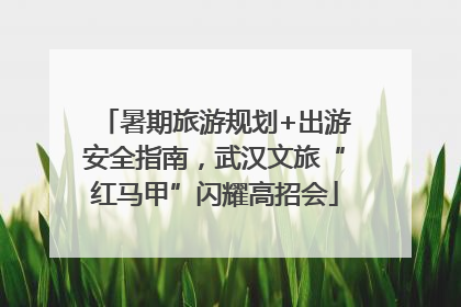 暑期旅游规划+出游安全指南，武汉文旅“红马甲”闪耀高招会
