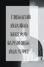 暑运启幕 直达泰山 冠县火车站开通暑运直达专列