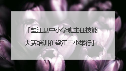 望江县中小学班主任技能大赛培训在望江三小举行