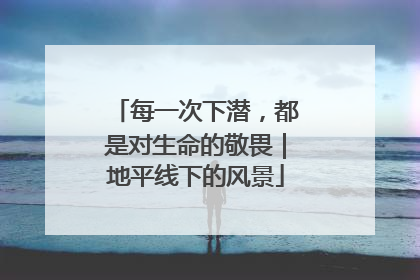 每一次下潜，都是对生命的敬畏｜地平线下的风景