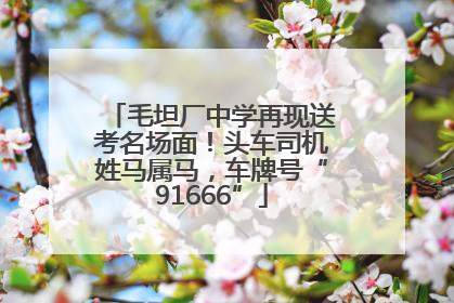 毛坦厂中学再现送考名场面！头车司机姓马属马，车牌号“91666”