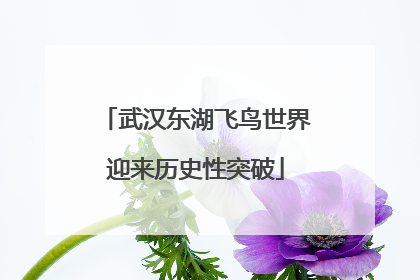 武汉东湖飞鸟世界迎来历史性突破