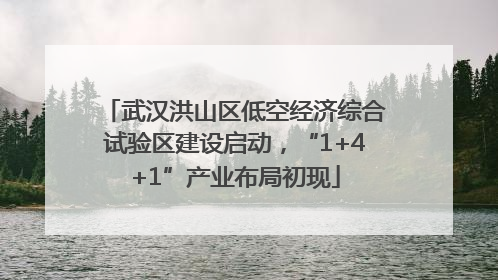 武汉洪山区低空经济综合试验区建设启动，“1+4+1”产业布局初现