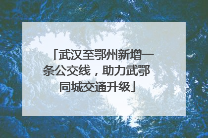 武汉至鄂州新增一条公交线，助力武鄂同城交通升级