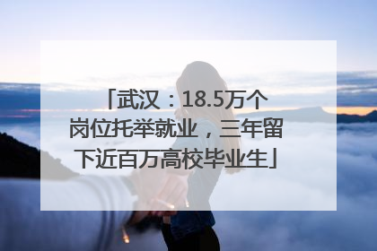 武汉：18.5万个岗位托举就业，三年留下近百万高校毕业生