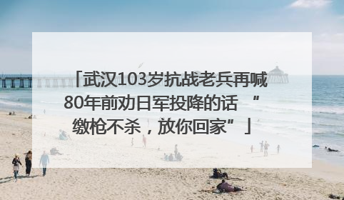 武汉103岁抗战老兵再喊80年前劝日军投降的话 “缴枪不杀，放你回家”