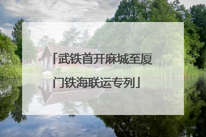 武铁首开麻城至厦门铁海联运专列