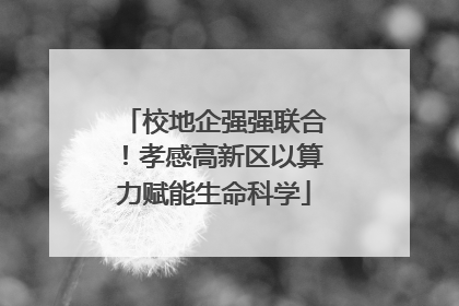 校地企强强联合！孝感高新区以算力赋能生命科学