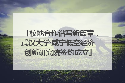 校地合作谱写新篇章，武汉大学·咸宁低空经济创新研究院签约成立