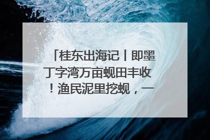 桂东出海记丨即墨丁字湾万亩蚬田丰收！渔民泥里挖蚬，一天上岸过千斤