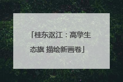 桂东沤江：高擎生态旗 描绘新画卷
