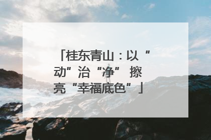 桂东青山：以“动”治“净” 擦亮“幸福底色”