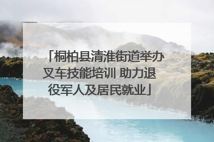 桐柏县清淮街道举办叉车技能培训 助力退役军人及居民就业
