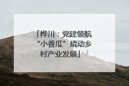 桦川：党建领航“小香瓜”撬动乡村产业发展