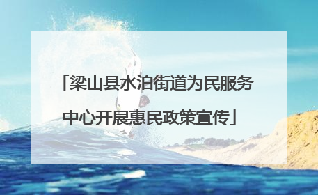 梁山县水泊街道为民服务中心开展惠民政策宣传