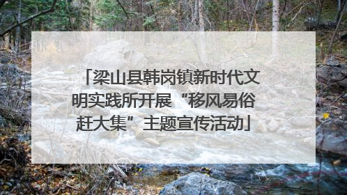 梁山县韩岗镇新时代文明实践所开展“移风易俗赶大集”主题宣传活动