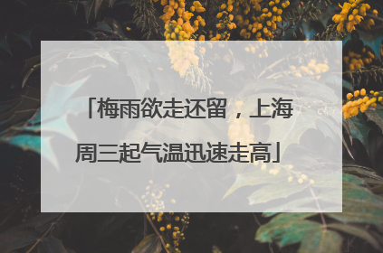 梅雨欲走还留，上海周三起气温迅速走高