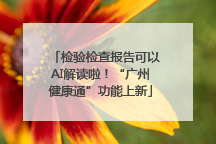 检验检查报告可以AI解读啦！“广州健康通”功能上新