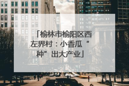 榆林市榆阳区西左界村：小香瓜“种”出大产业