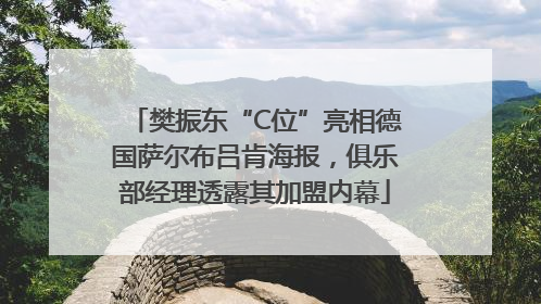 樊振东“C位”亮相德国萨尔布吕肯海报，俱乐部经理透露其加盟内幕