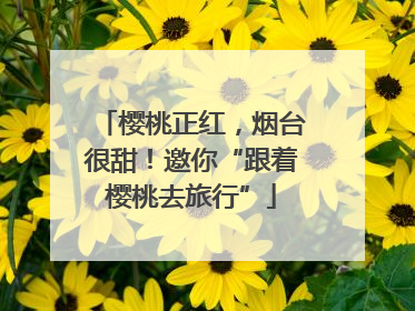 樱桃正红，烟台很甜！邀你“跟着樱桃去旅行”