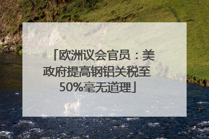 欧洲议会官员：美政府提高钢铝关税至50%毫无道理