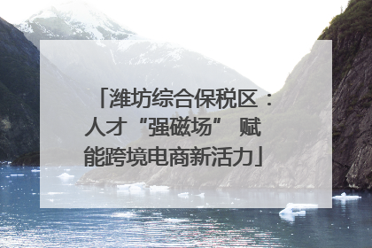 潍坊综合保税区：人才“强磁场” 赋能跨境电商新活力