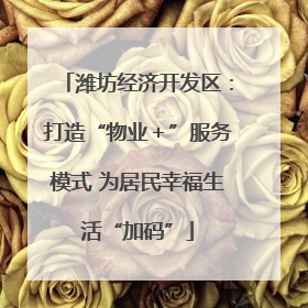 潍坊经济开发区：打造“物业＋”服务模式 为居民幸福生活“加码”
