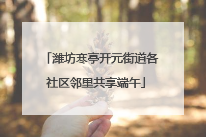 潍坊寒亭开元街道各社区邻里共享端午